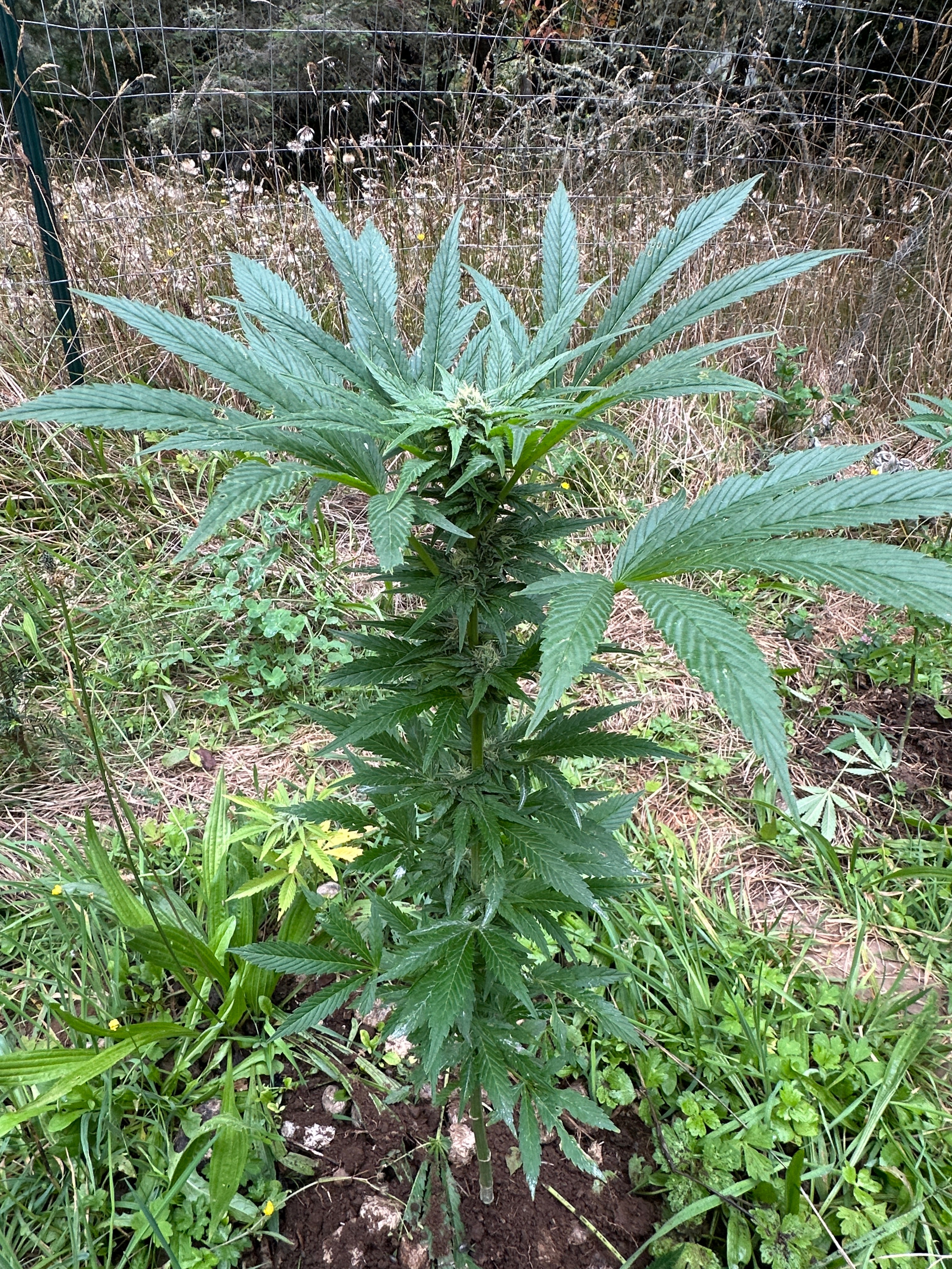 Khyber Pass, Pakistan